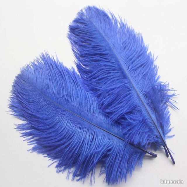 Plumes d'autruche artisanales, 10 pièces, décor de plumes blanches et noires au milieu du centre de Table, Vase pour artisanat de décoration  15
