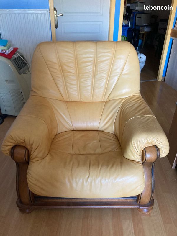 Vends 2 fauteuils en cuir (image 1)