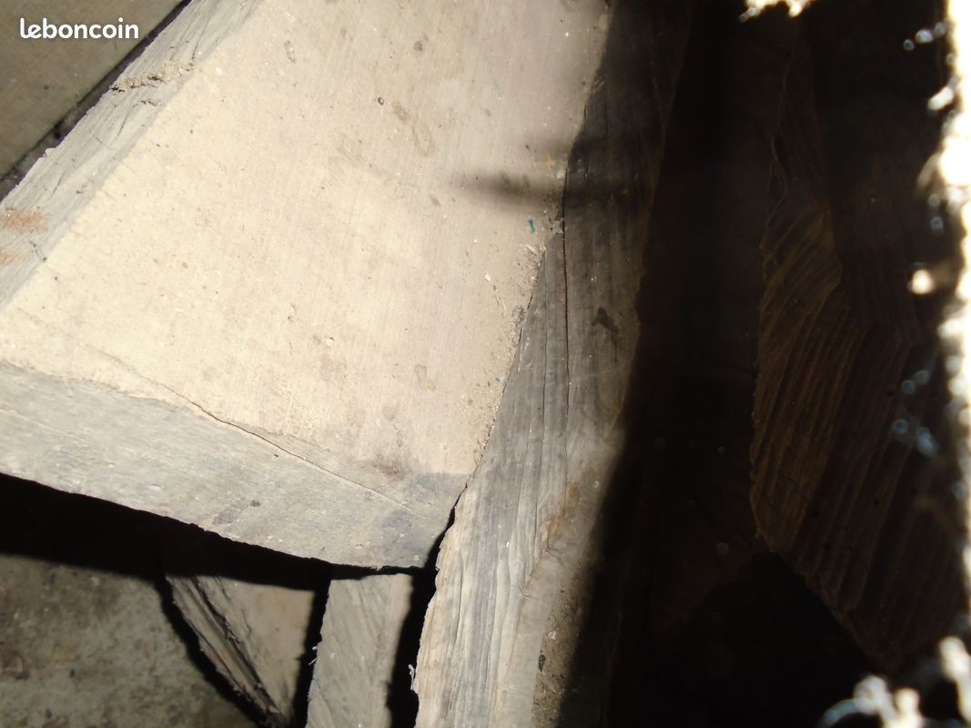 Noyer noir (image 2)