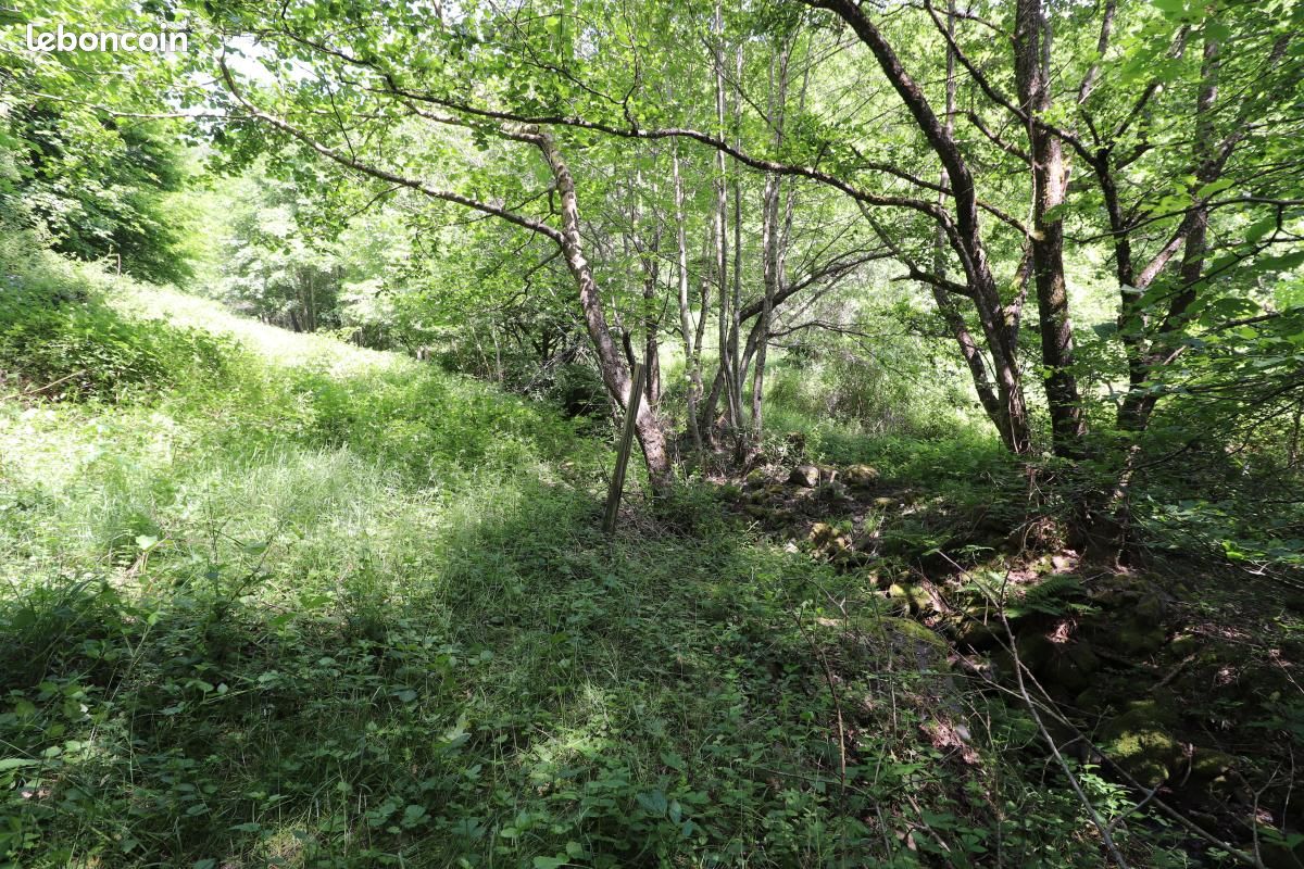 Terrain agricole 5 402 m² Linthal · 130 000 €