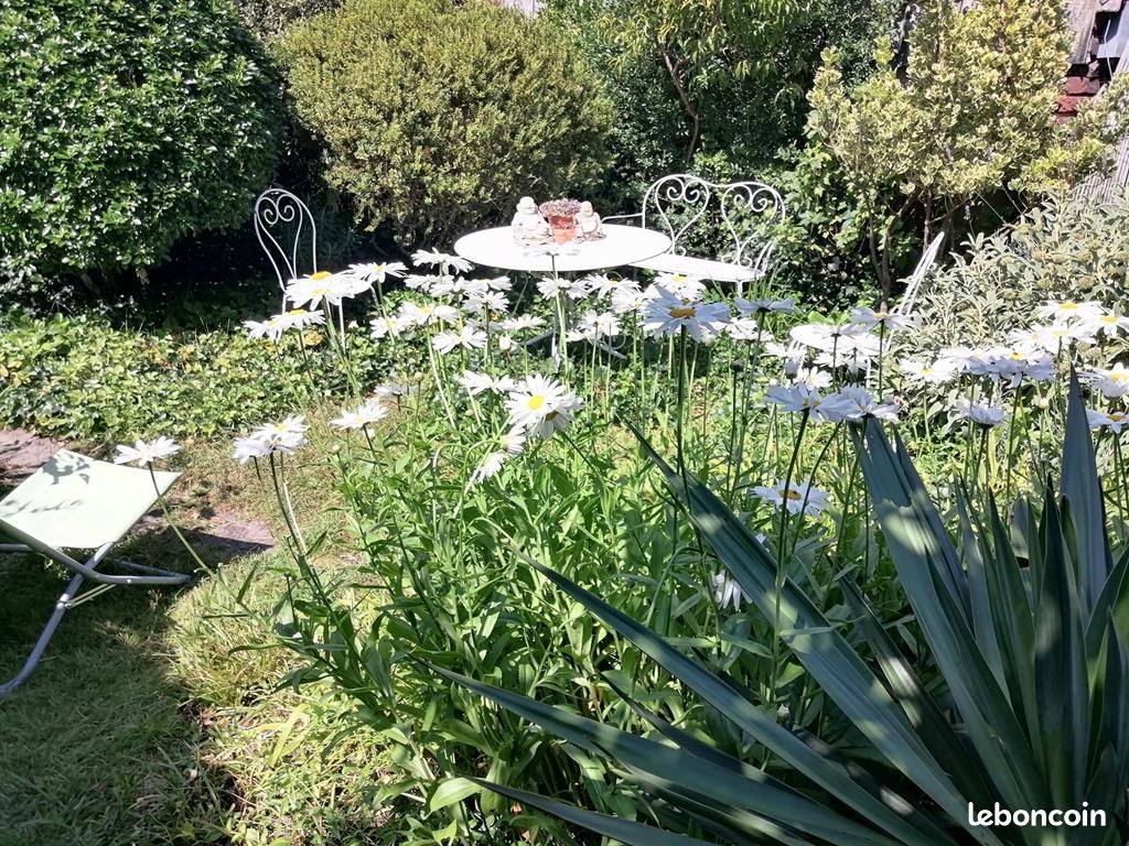 Jardin Yuccas Cottage - Gite en vallée touristique du Loir - Sud Sarthe (image 15)