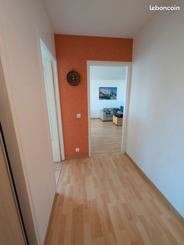 Appartement T3-T4 style Loft étage élevé allée de la Pelouse Grenoble 38100 (image 9)