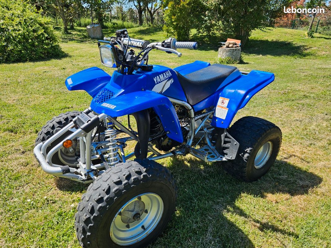 Yamaha 200 blaster (image 2)