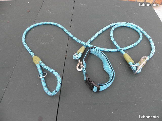 Laisse pour chien Double (image 1)