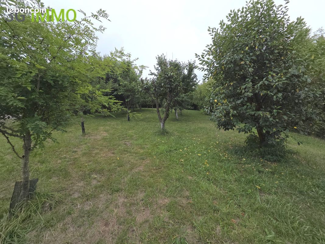 Vente | Maison T6+ | 7p | 5ch | 196 m² | Languidic | Expo Sud-Ouest | Terrasse · Jardin (image 4)