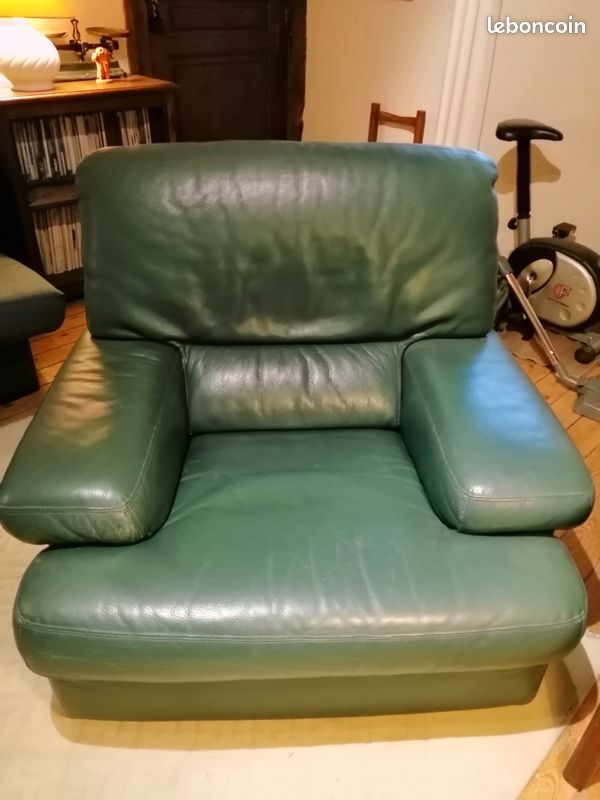 Fauteuil confortable en cuir (image 1)
