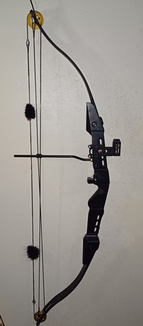 Arc à Poulie M1  Artemis Archerie