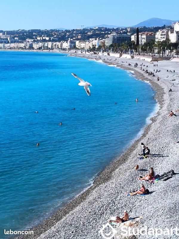 Appartement 1 pièce 25 m² · à Nice · 25 m² · 1 350 €/mois