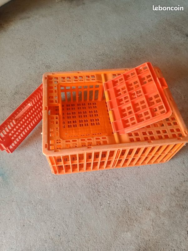 Cage de transport (image 2)