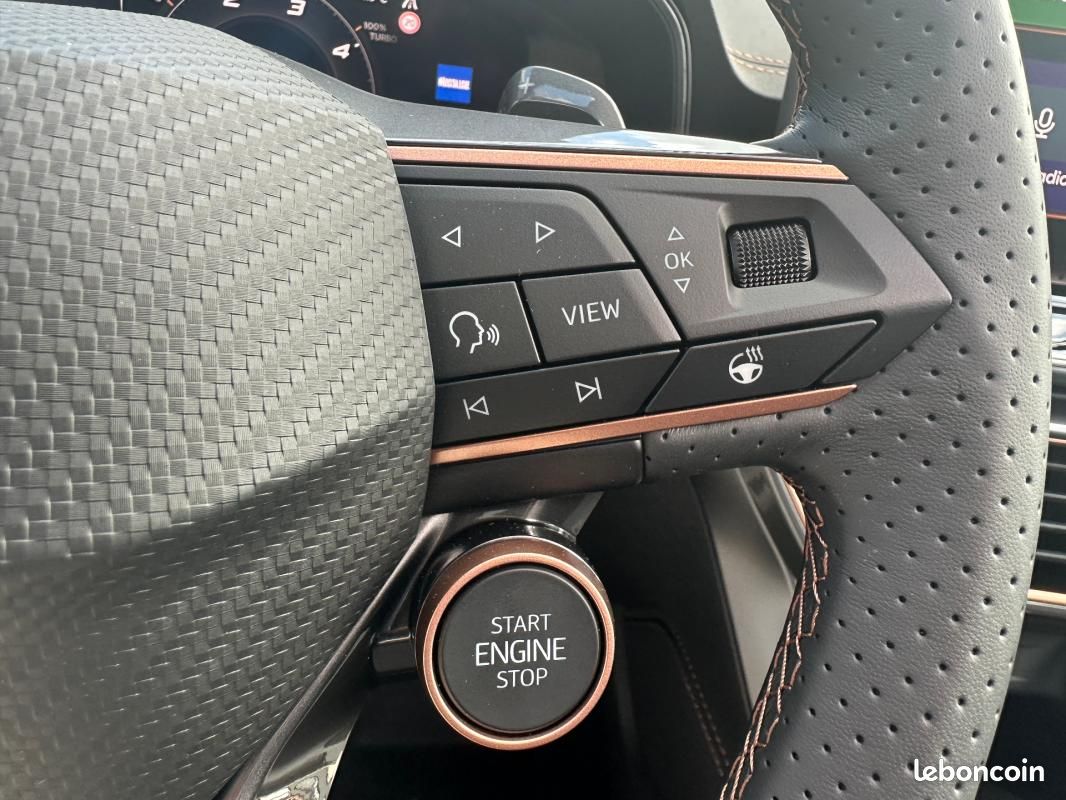 Cupra Formentor 2.0 TDI 150 ch DSG7 V (image 17)