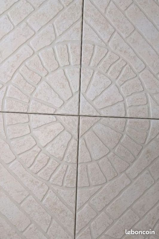 Carrelage intérieur/ extérieur (image 3)