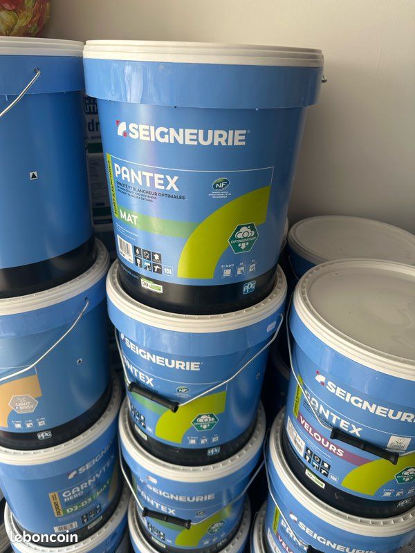 Peinture professionnelle Seigneurie – 15L – Nantes & périphérie (image 2)