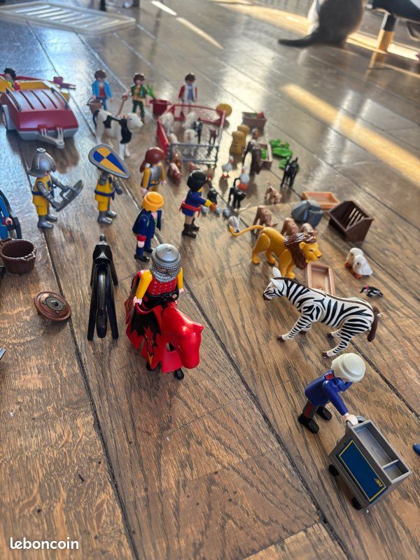 Lot de playmobils, animaux et accessoires (image 2)