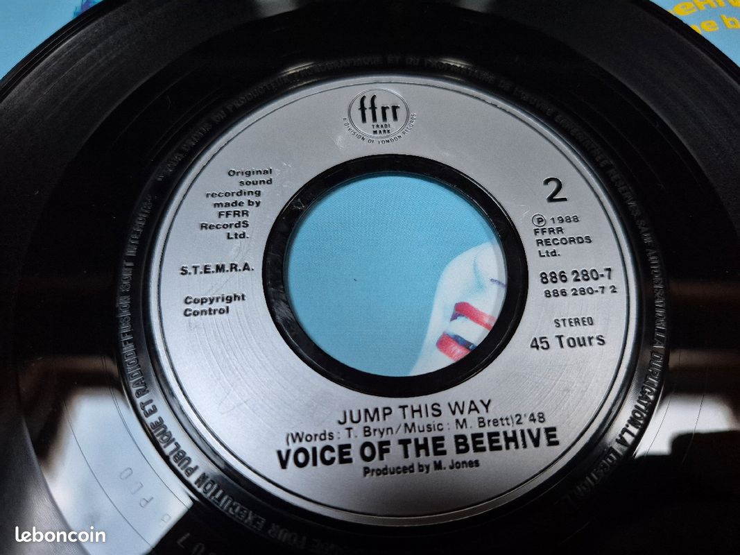 Vinyle 45t Voice of the beehive (image 6)