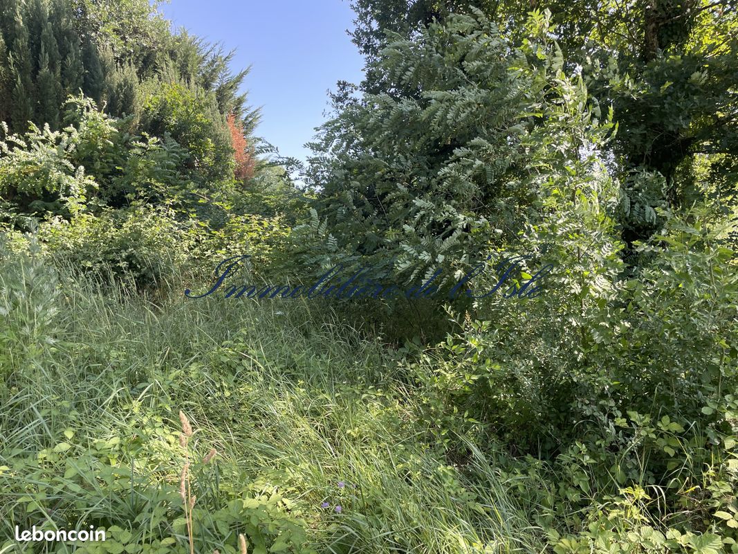Terrain 2000 m² · à Trélissac · 2 000 m² · 160 000 €