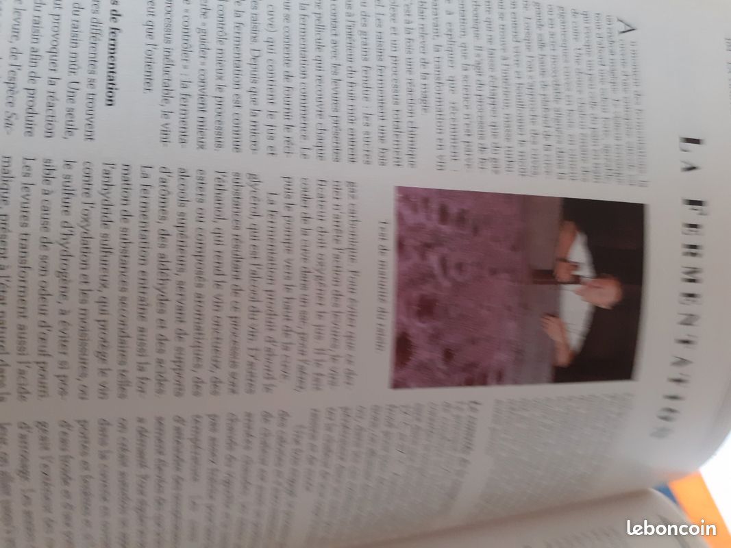 Larousse des vins "neuf".. (image 11)