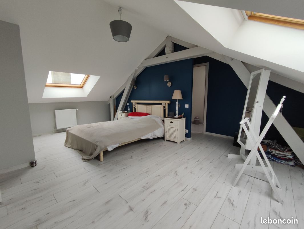 Appartement 145m2 + Studio 40m2, secteur Labussière/Beaublanc - Limoges 87000 (image principale 2)