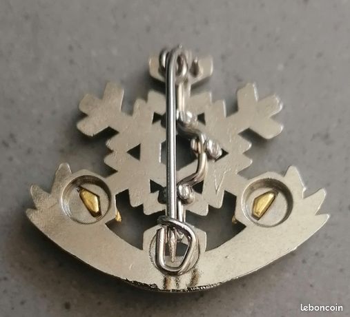 Insigne broche médaille de ski ESF LE LIEVRE brevet niveau test