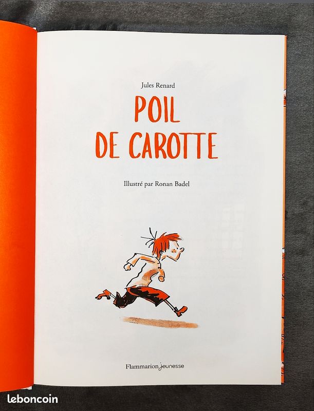 Livre "Poil de Carotte"🥕 par Jules Renard - Neuf - Idéal pour cadeau de Noël (image 2)
