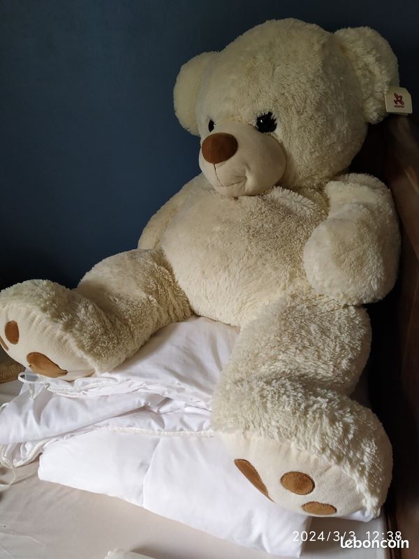 Ours en peluche (image 2)