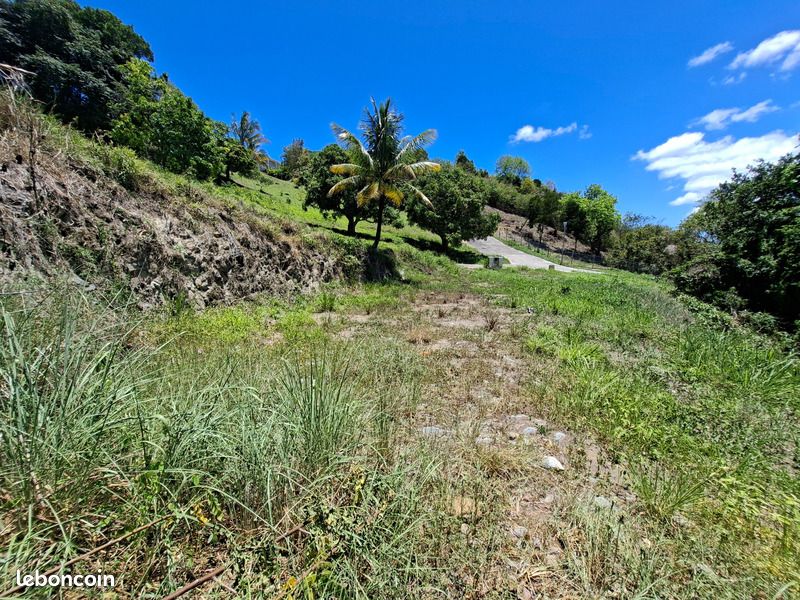 Terrain 817 m² Sainte Luce · à Sainte-Luce · 75 000 €