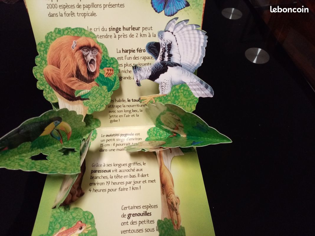 Livre 3D les animaux de la forêt vierge (image 4)