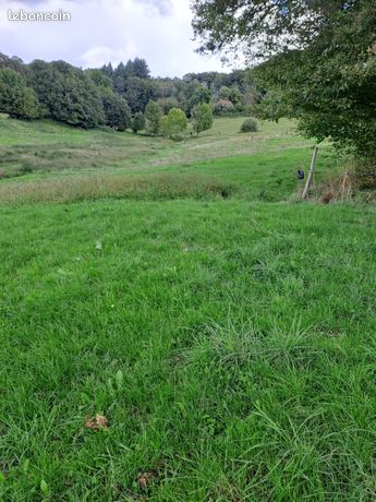 Prairie avec ruisseau 5 ha 42 a
