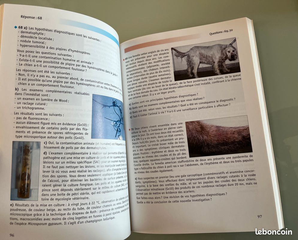 Dermatologie des petits animaux (image 5)