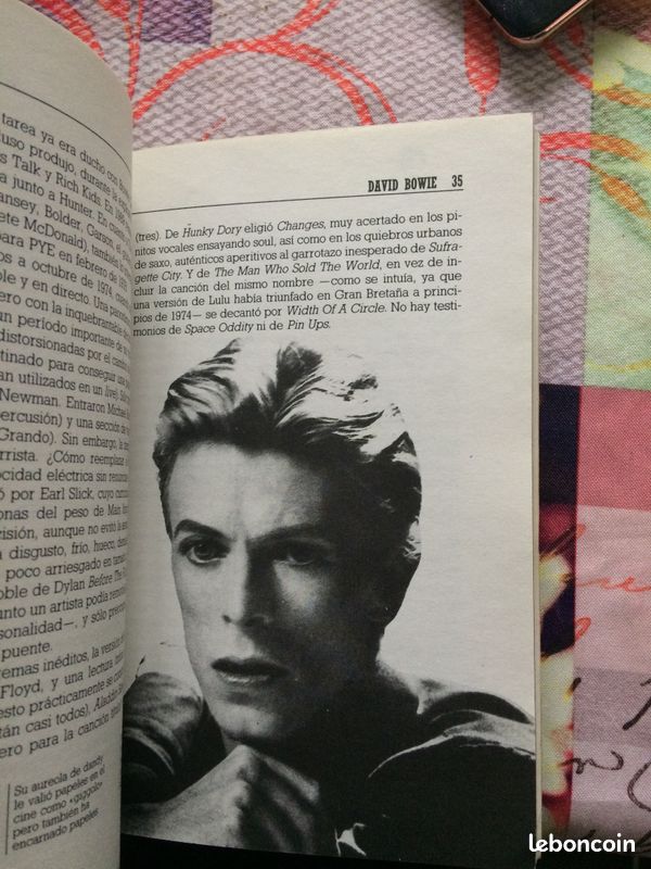 David Bowie par David Mordoh (image 3)