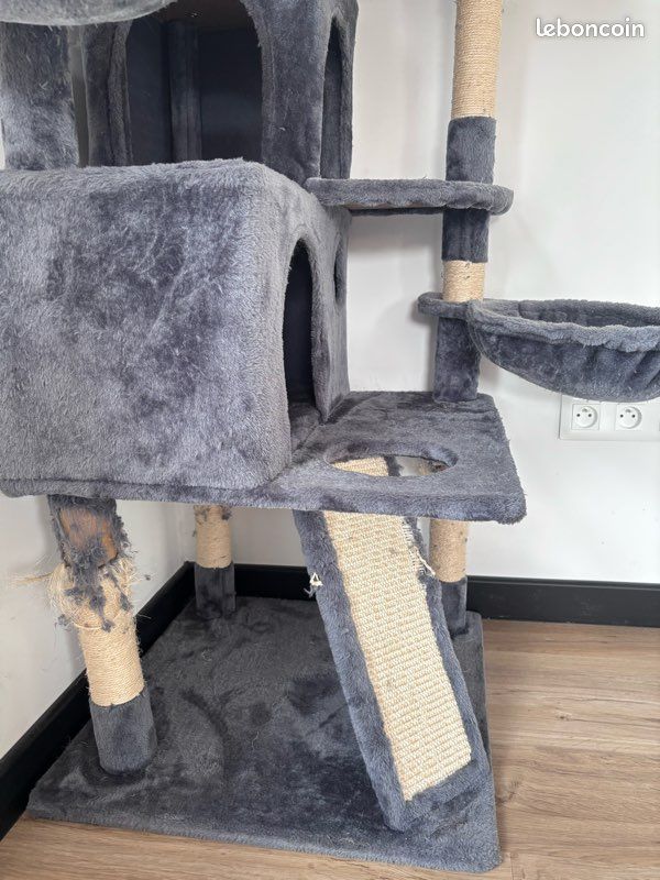 Arbre à chat (image 3)