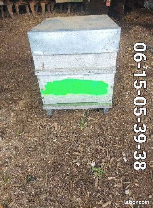 Ruche abeille dadant (image 1)
