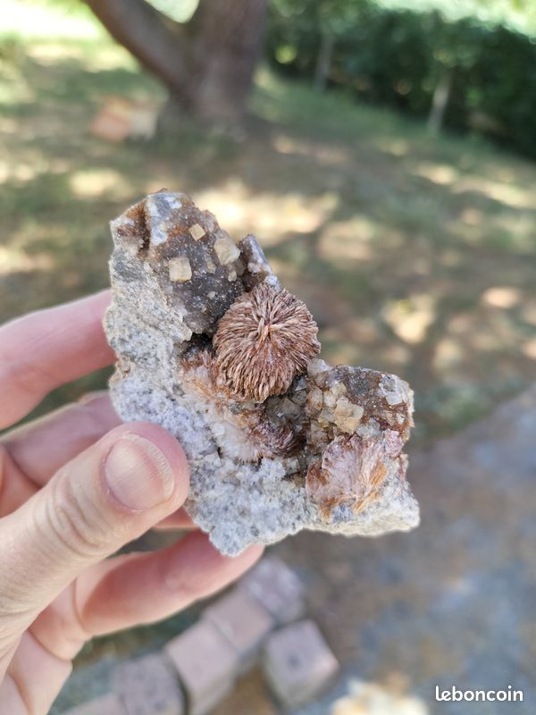 Minéraux français – Fluorite, baryte et quartz – Beaussais-Vitré (79) - France (image 2)