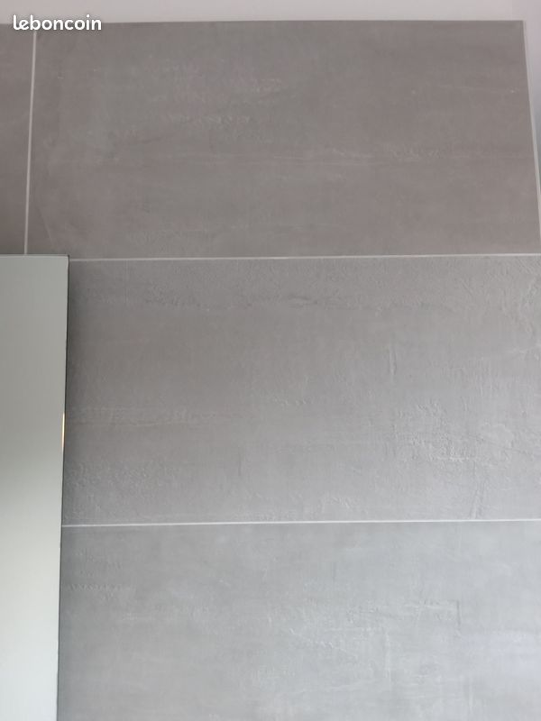 Carreaux de ciment et carrelages grés (image 2)