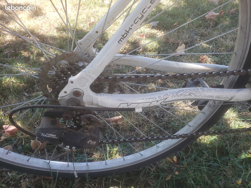 Vélo femme (image 3)