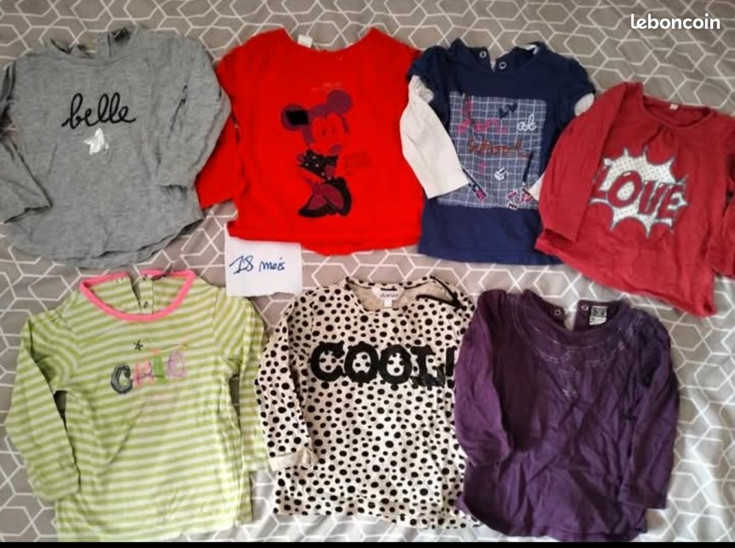 Lots de 2 vêtements 18mois (image 1)