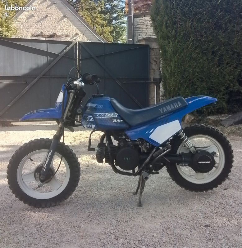 Piwi 50 (image 1)