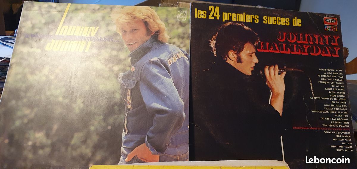 Lot 2 vinyl 33 tours Johnny Hallyday (image 1)