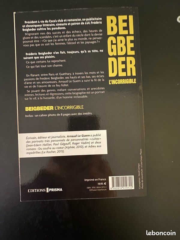 Beigbeder L’Incorrigible de Arnaud Le Guern (image 2)