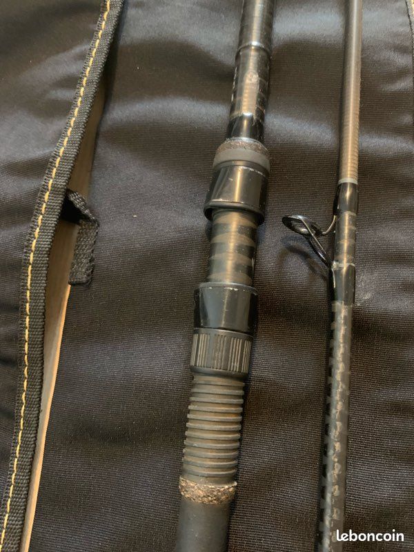 Canne carpe Wildie (image 3)