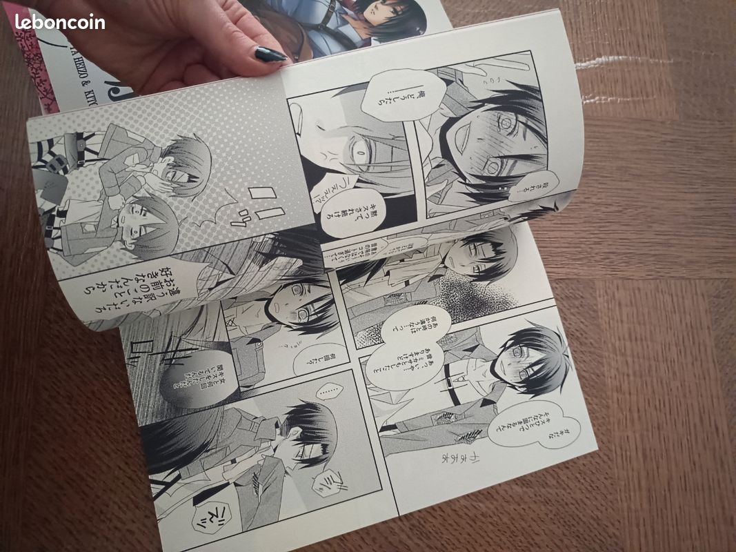 Lot fanbook attack on Titan (image 9)