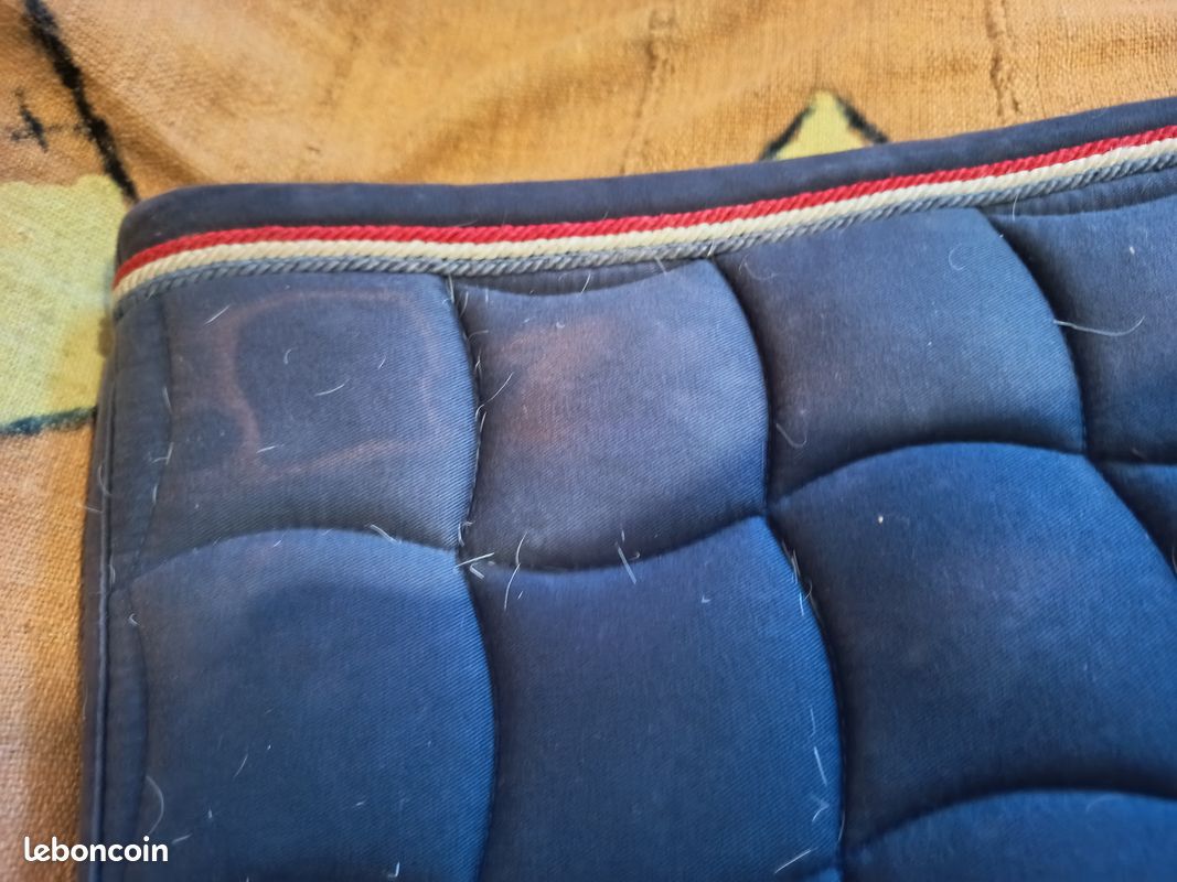Tapis bleu Lami cell sport (image 4)