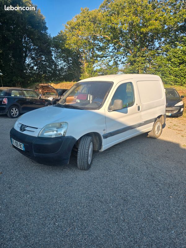 Peugeot partner 2.0 hdi 90cv (image 1)