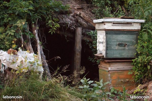 Vente de matériel apiculture, équipement apiculteur - Icko