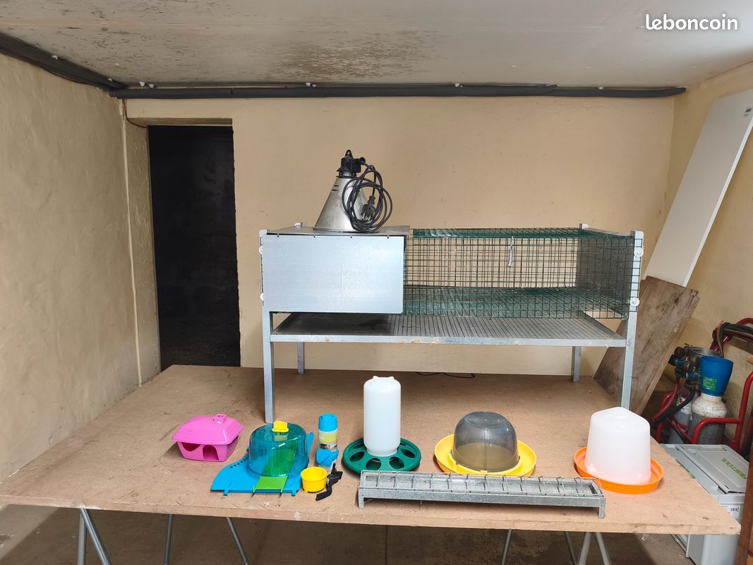 Accessoires animaux (image 1)