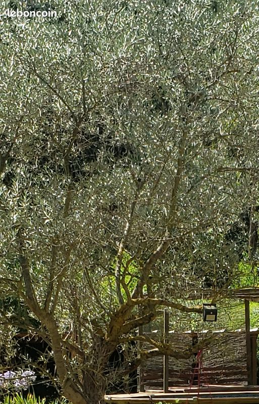 Terrain loisir · à Grans · 350 €