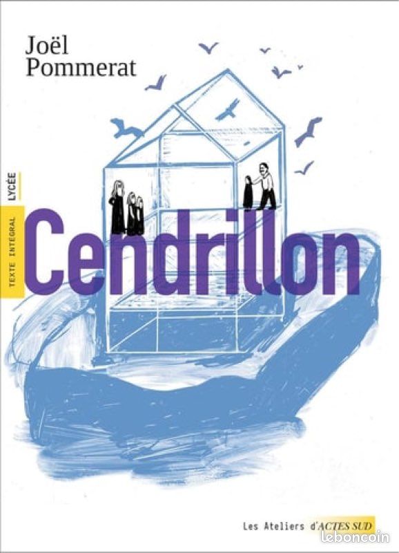Livre cendrillon d’actes sud (image 1)