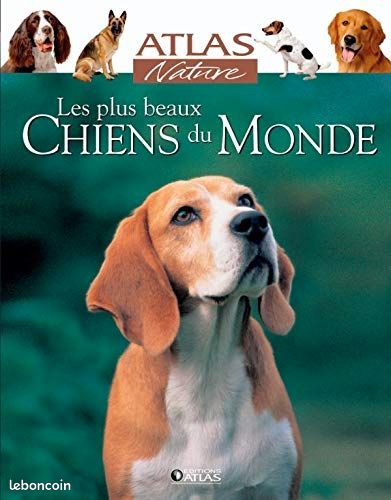 Les plus chiens du monde (image 1)
