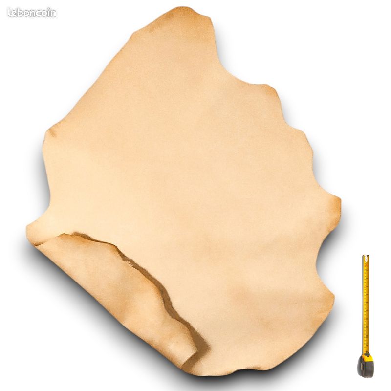 Peau entière Mouton Basane coloris Naturel #939 (image 2)