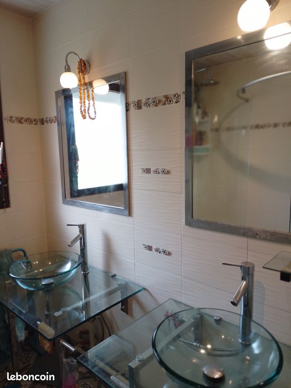 Lavabo salle d'eau (image 3)