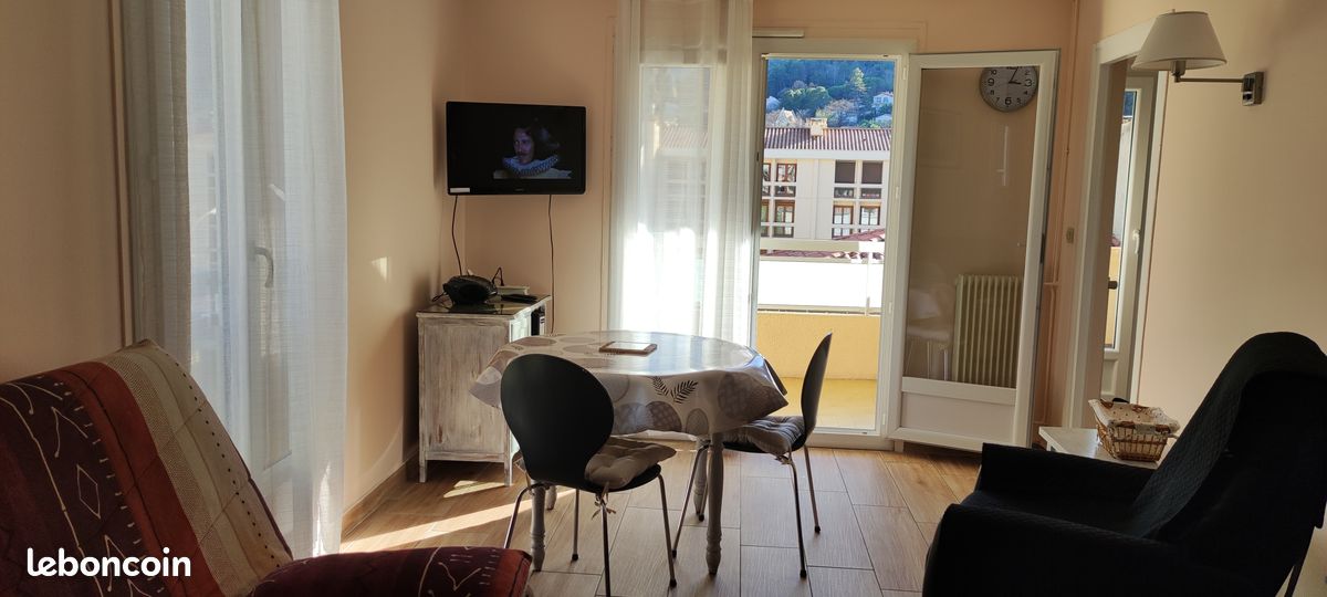 Location Amélie les Bains, quartier Petite Provence F2 CLIMATISE, balcon, parking, Wifi (image 10)